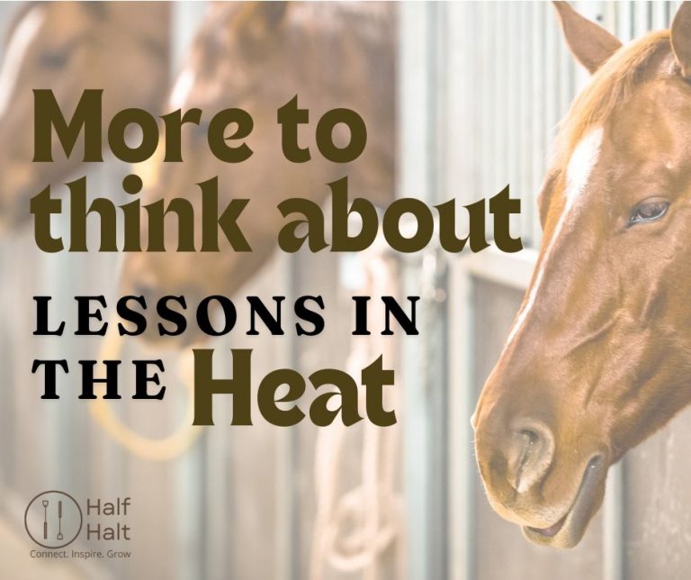 More To Think About – Lessons In The Heat