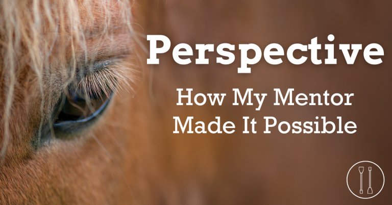 Perspective: How My Mentor Made It Possible