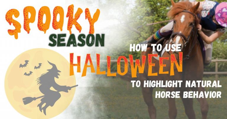 ‘Spooky’ Season