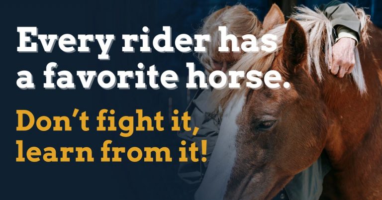 What Instructors Can Learn From Horse Preferences