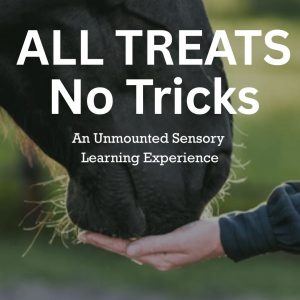 Riding instructor quick tips-218