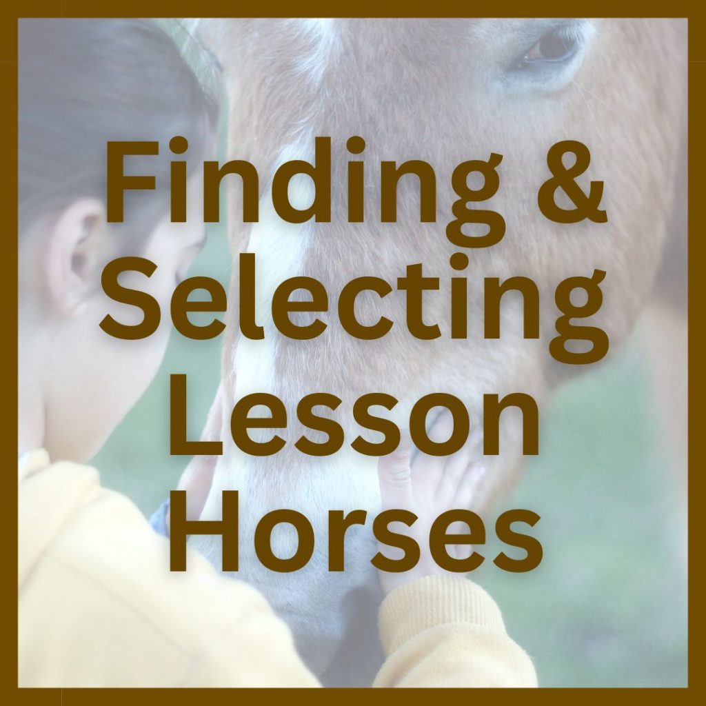 Finding & Selecting Lesson Horse