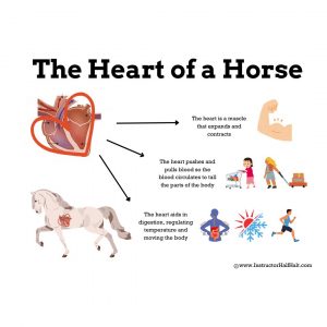 Old Facebook posts-34