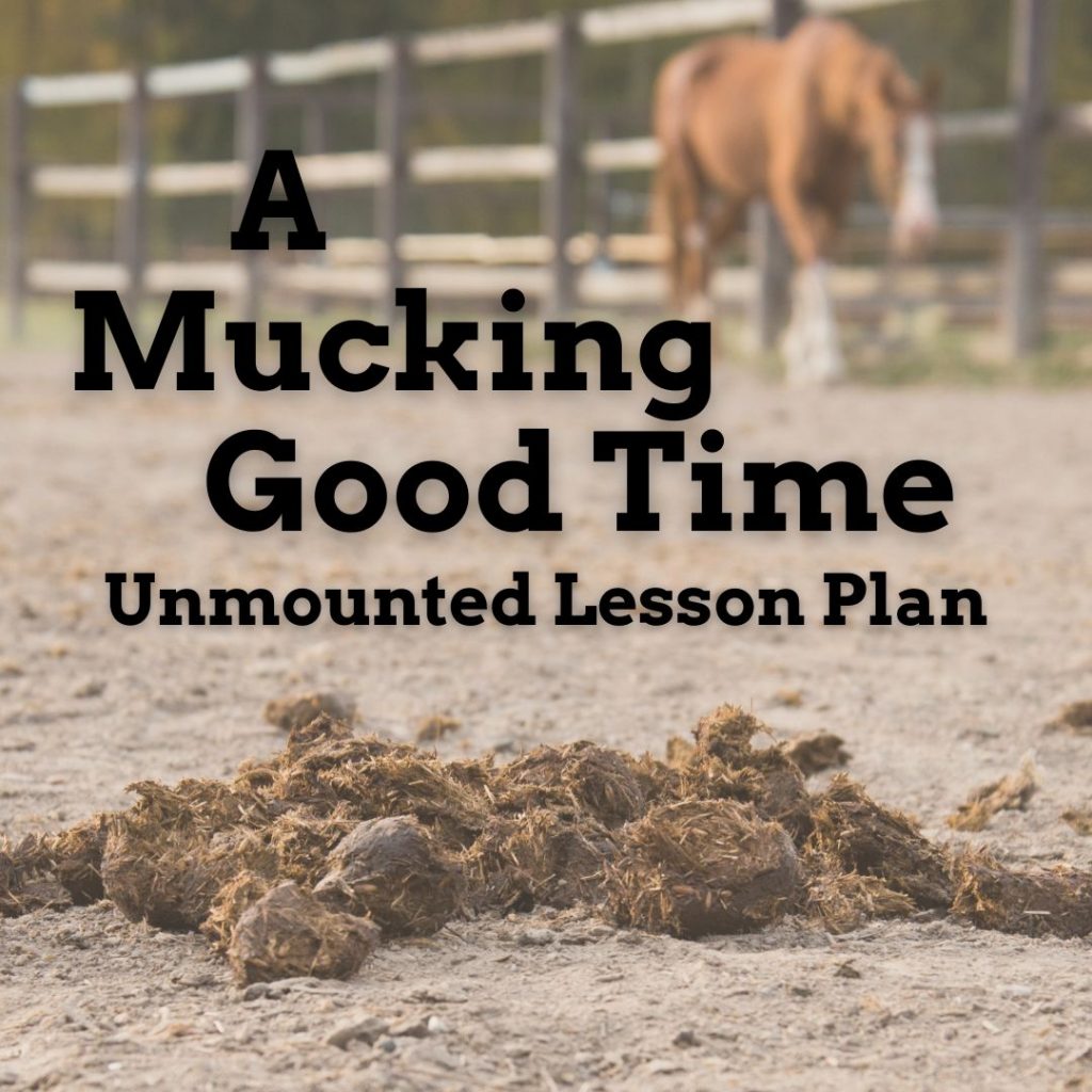 free unmounted lesson mucking stalls fun