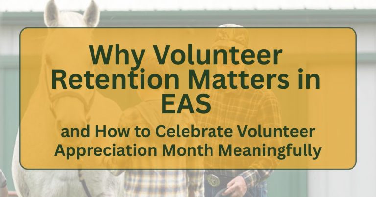 Volunteers Don’t Just Help—They Hold Everything Together