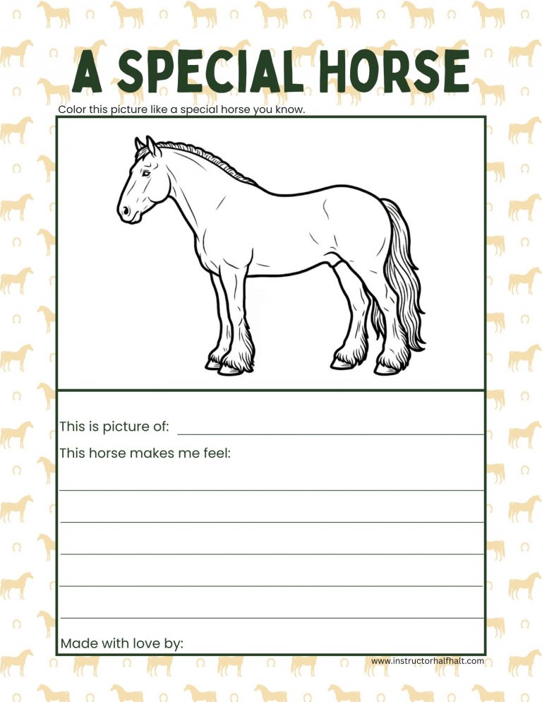 More Than Just a Horse