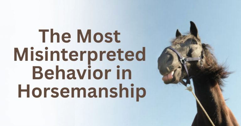 The Most Misinterpreted Behavior in Horsemanship